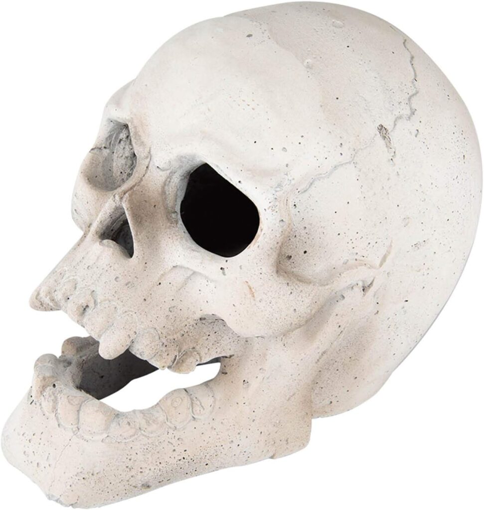 Stanbroil Fire Pits 9 Imitated Human Skull Decoration for Indoors Outdoors Campfire, Fireplace, Halloween Party Decor, 1 Pack - Patent Pending White